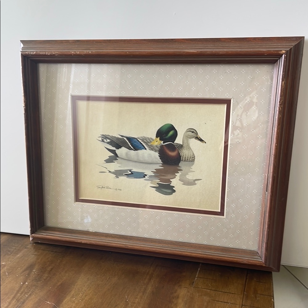 Richard Sloan Mallard Print Framed Duck Artwork in Wooden Frame